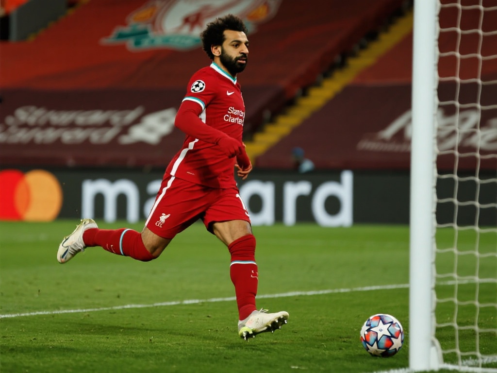 通常会有显 通常会有显