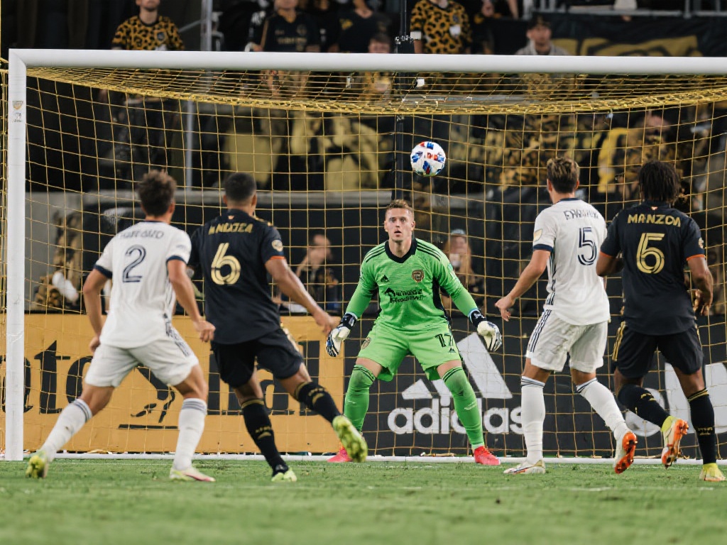 虚假信息 虚假信息